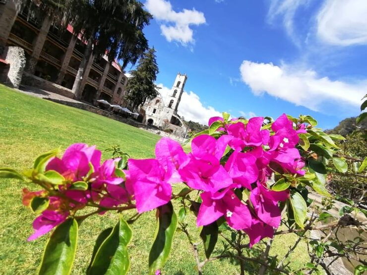 Santa Maria Regla Tour: Unveiling Natural Treasures - Admiring the Basaltic Prisms