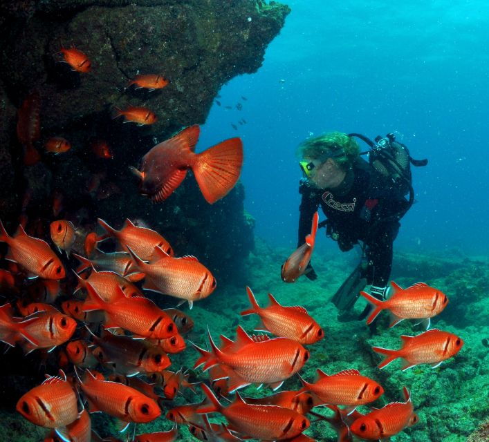 Santa Maria: Review Diving Course With 2 Guided Dives - Good To Know