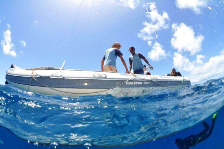 Santa Maria: Scuba Diving Package With 3 Dives - Good To Know
