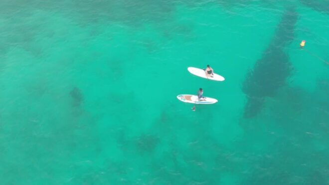 Santa Maria: Stand-Up Paddle Tour - Inclusions