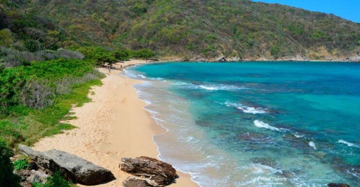 Santa Marta: Cristal Beach Day-Trip - Experience Highlights