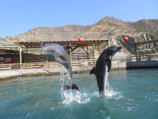 Santa Marta: Museum of the Sea and Playa Blanca Beach Tour - Tour Itinerary
