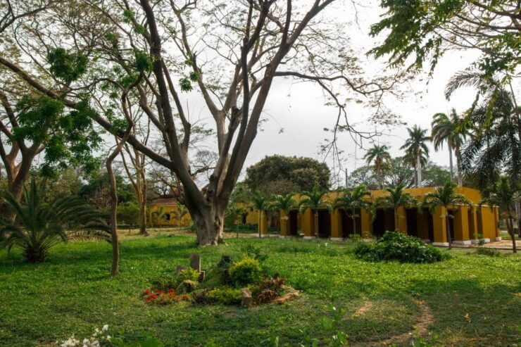 Santa Marta: Walking Tour - Experience Highlights