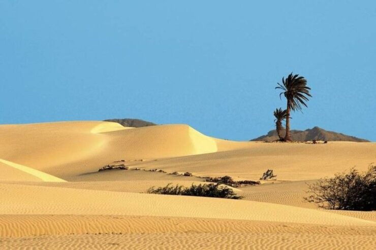 Santa Monica, Cave, San Dunes & Shipwreck, Sal Rei Town - Itinerary Highlights