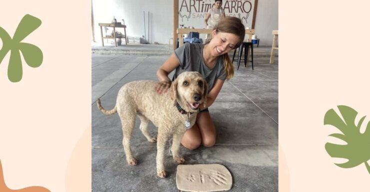 Santa Monica: Dog Friendly Private Ceramics Class - Good To Know