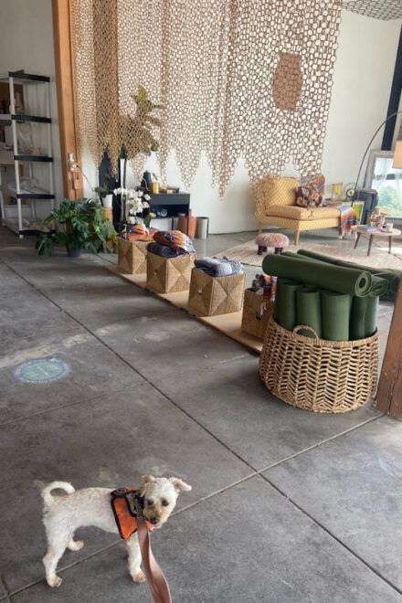 Santa Monica: Dog Friendly Private Ceramics Class - Booking and Availability