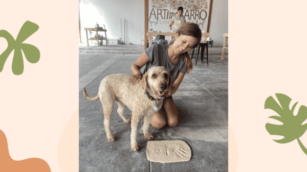 Santa Monica: Dog Friendly Private Ceramics Class - Arrival and Parking