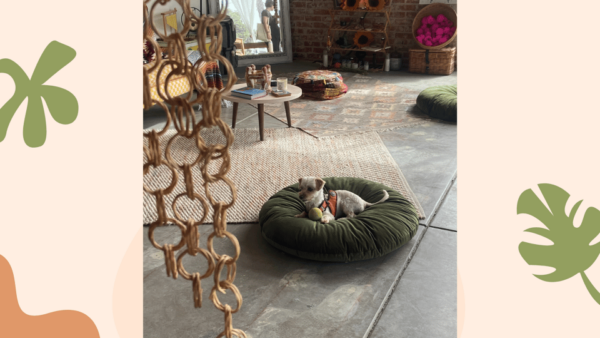 Santa Monica: Dog Friendly Private Ceramics Class - Frequently Asked Questions