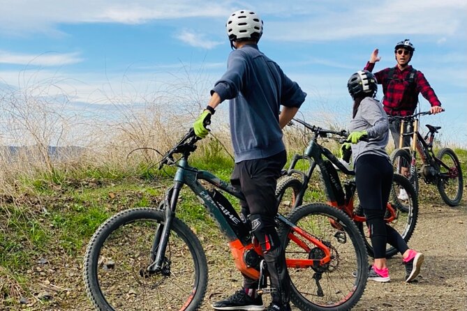 Santa Monica Premium Electric Mountain Bike Tour - Pricing and Booking Details
