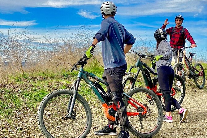 Santa Monica Premium Electric Mountain Bike Tour - Traveler Reviews and Ratings