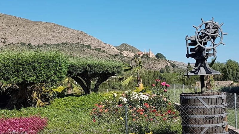 Santa Pola, Gran Alacan, Urbanova: Guided Wine Tasting Tour - The Practicalities