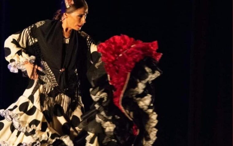 Santa Pola Historical and Landscape and Flamenco With Show and Dinner - Transportation and Accessibility