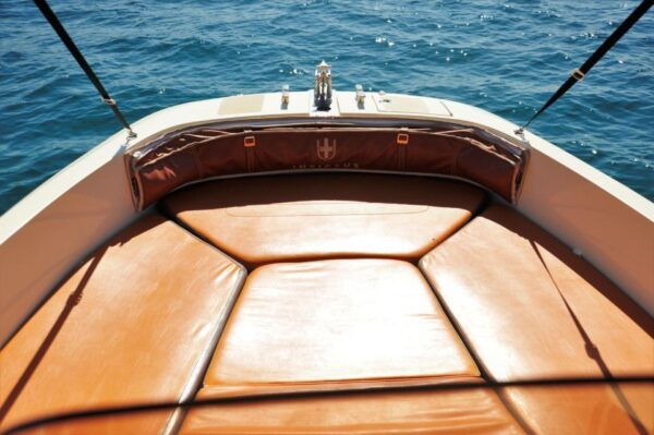 Santa Ponsa: MINERVA, License Boat Rental - Inclusions