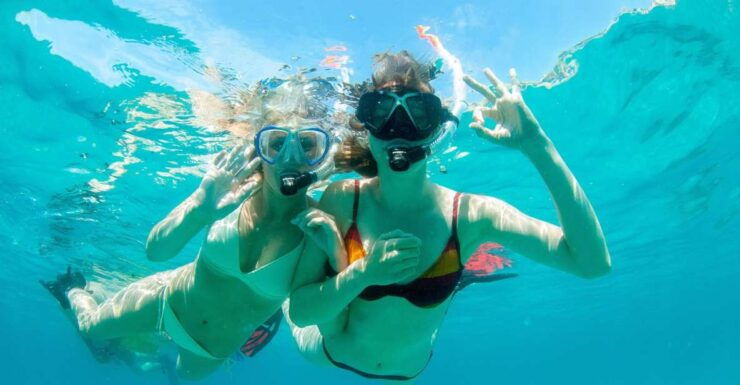 Santa Ponsa: Snorkeling Tour in a Marine Reserve - Itinerary