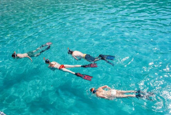 Santa Ponsa: Snorkeling Tour in a Marine Reserve - Customer Reviews
