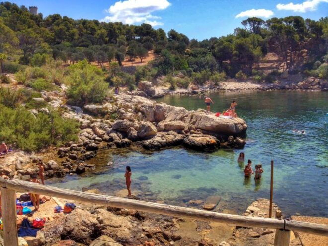 Santa Ponta/Peguera: Dragonera Island Cruise With Swim Stop - Important Information