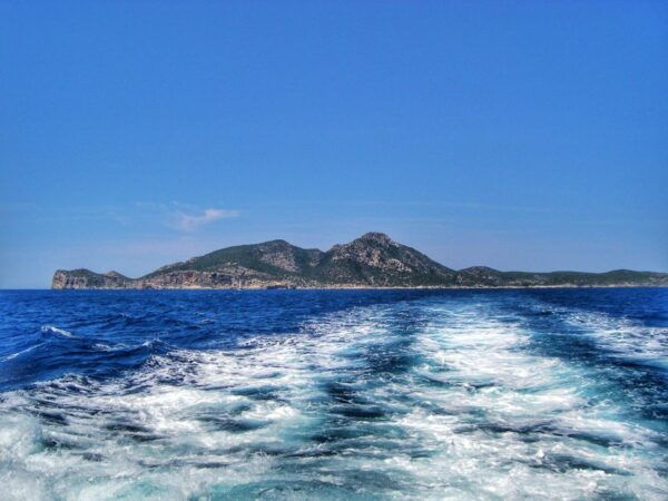 Santa Ponta/Peguera: Dragonera Island Cruise With Swim Stop - The Sum Up