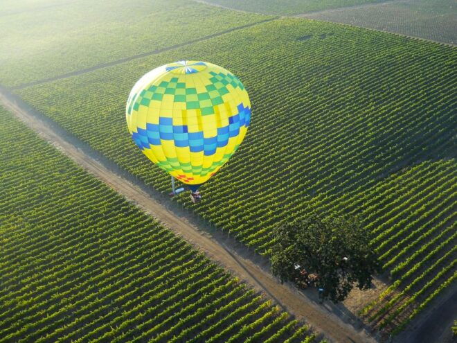 Santa Rosa: Hot Air Balloon Flight Above Sonoma County - Full Description