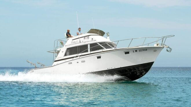 Santa Teresa: Speedboat Tour Around Lavezzi and Piana Island - Experience the Natural Beauty