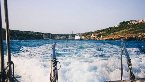 Santa Teresa: Speedboat Tour Around Lavezzi and Piana Island - Questions You May Have