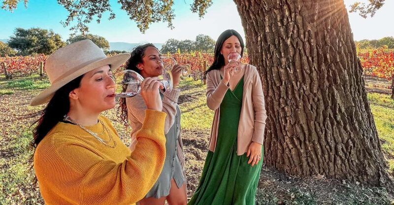 Santa Ynez: Private Wine Tour - Introduction: A Guided Taste of Santa Ynez