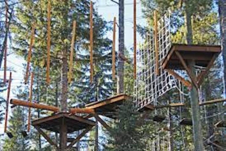 Santa Ynez Valley: Adventure Park Course - Reservation and Payment