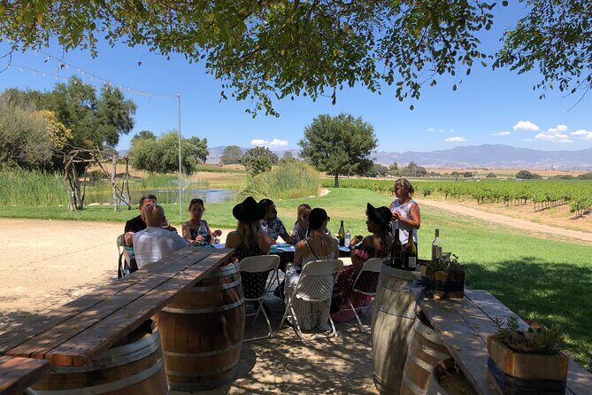Santa Ynez Valley Private Wine Tours from Santa Barbara - Overview of the Santa Ynez Valley Private Wine Tour
