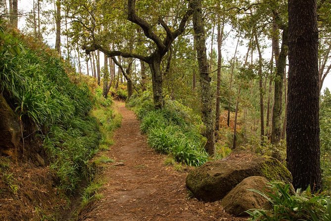 SANTANA Combo Expedition (Jeep Tour & Levada Walk) - EVERYDAY - Tour Highlights
