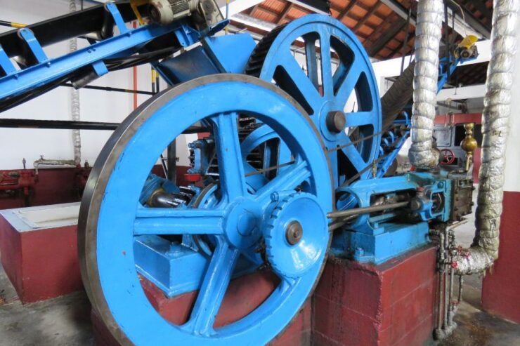 Santana Scents and Flavors Tour From Funchal - Tour Details