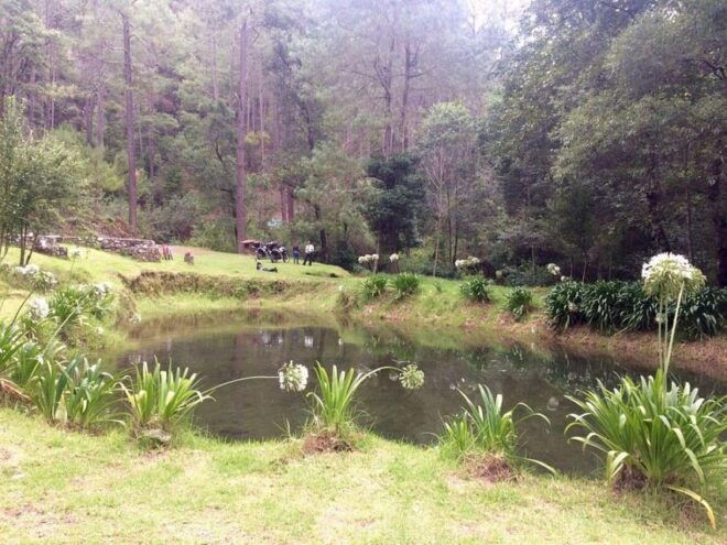 Santiago Apoala: Mountain Paradise Tour - Discover Stunning Waterfalls and Lagoons