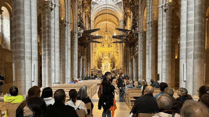 Santiago Complete Tour: City, Portico and Cathedral Tickets - Marveling at the Portico of Glory