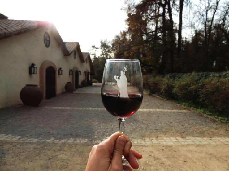 Santiago: Concha Y Toro and Undurraga Vineyards Tour - Tour Duration and Live Guides