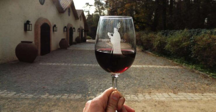 Santiago: Concha Y Toro and Undurraga Vineyards Tour - Pickup and Vineyard Visits