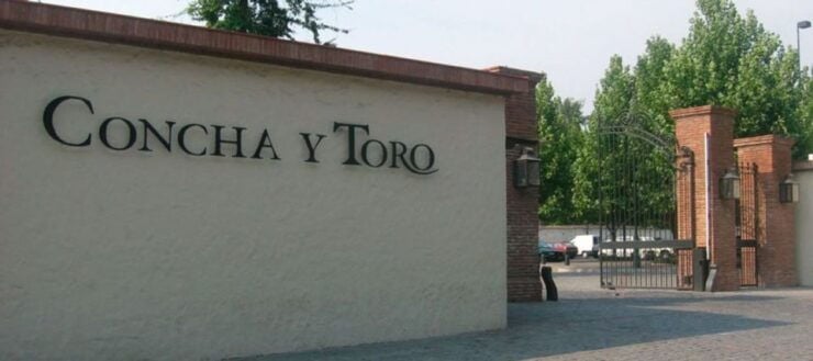 Santiago: Concha Y Toro Winery 4–Hour Tour & Sommelier Class - Tour Details