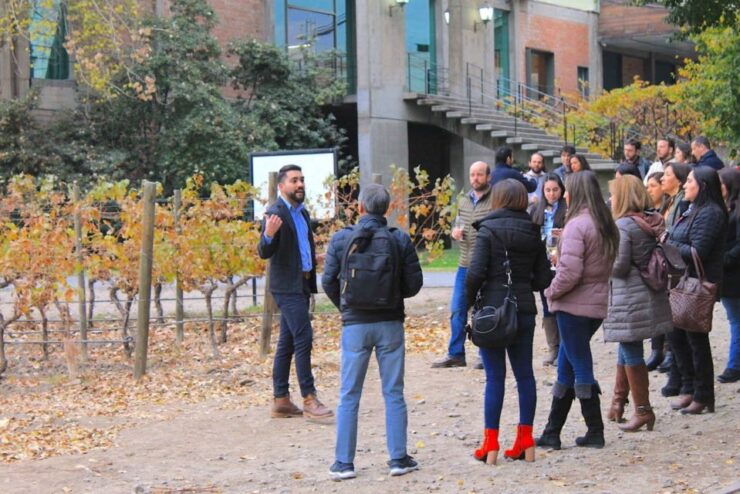 Santiago: Cousiño Macul Official Winery Tour With Tasting - Tour Overview