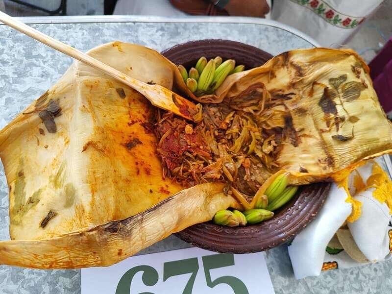 Santiago de Anaya, Hidalgo: Food tour. Experience among stoves. - Final Thoughts