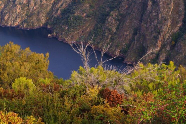 Santiago De Compostela: Galicia & the Ribeira Sacra Day Trip - Tour Details