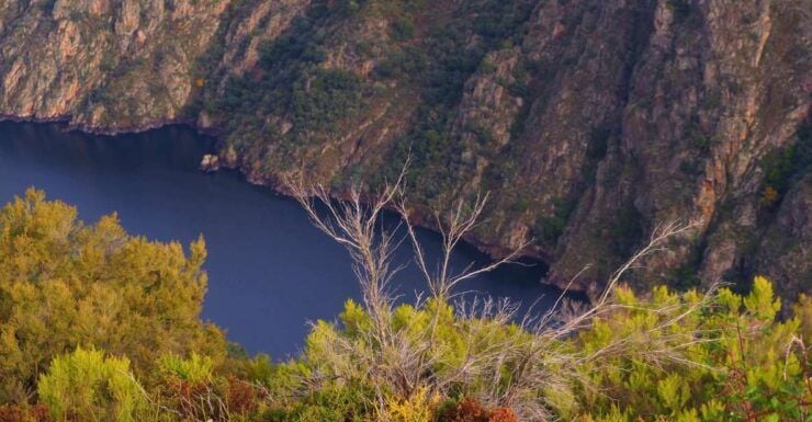 Santiago De Compostela: Galicia & the Ribeira Sacra Day Trip - Highlights