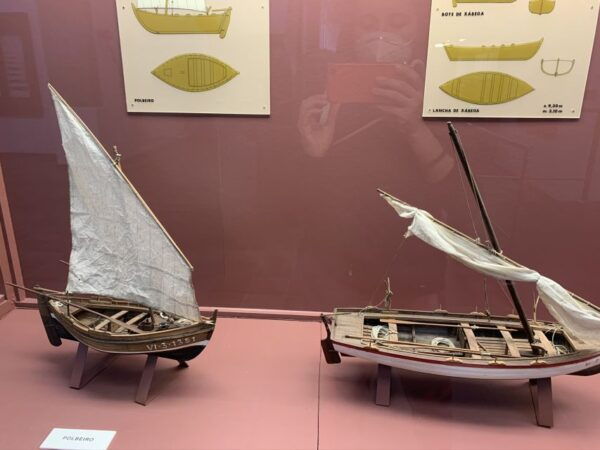 Santiago De Compostela: Museum Tour of Galician Culture - Background