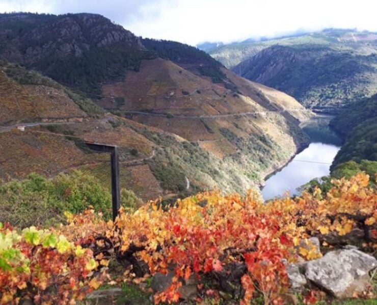 Santiago De Compostela: Private Excursion of Galician Fjords - Booking Details