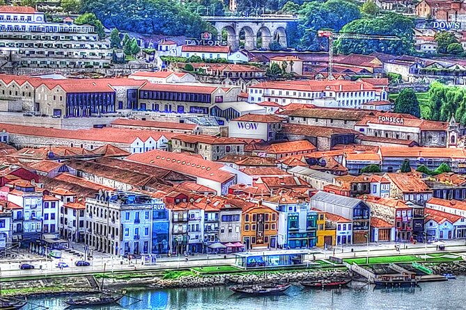 Santiago De Compostela to Porto & Douro Valley 2-Day Private Tour - Expert Local Guide