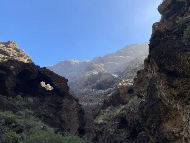 Santiago Del Teide: Masca Canyon Full-Day Guided Hiking Tour - Frequently Asked Questions
