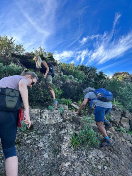 Santiago Del Teide: Masca Enchanted Forest Hiking Tour - The Sum Up