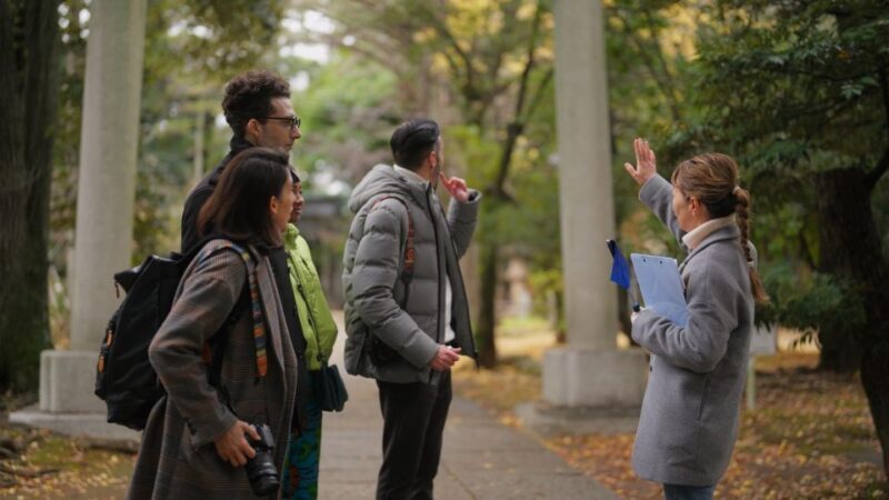 Santiago: Historic Walking Tour and Highlights - Good To Know