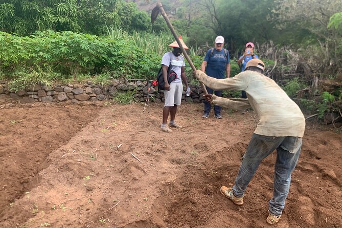 Santiago Island: 4-Hours Rui Vaz, Longueira Hike Trip With Tasting - Directions