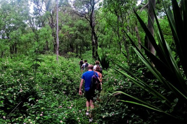 Santiago Island: Serra Malagueta & Tarrafal Beach Trek Tour - The Sum Up