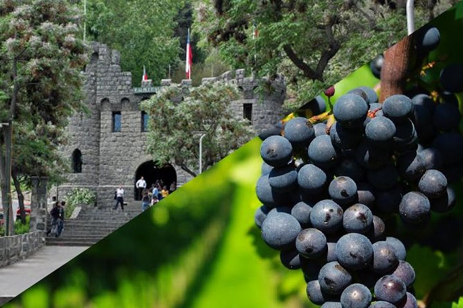 Santiago Layover Tour: Explore Chile's Iconic Sights - Tour Highlights