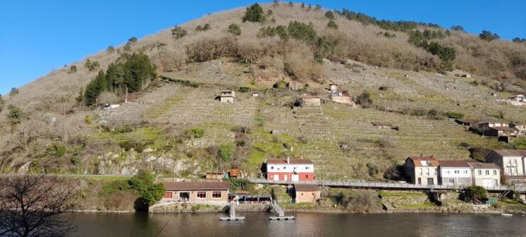 Santiago of Compostela Pilgrimage Private All Included - Highlights of the Santiago of Compostela Pilgrimage