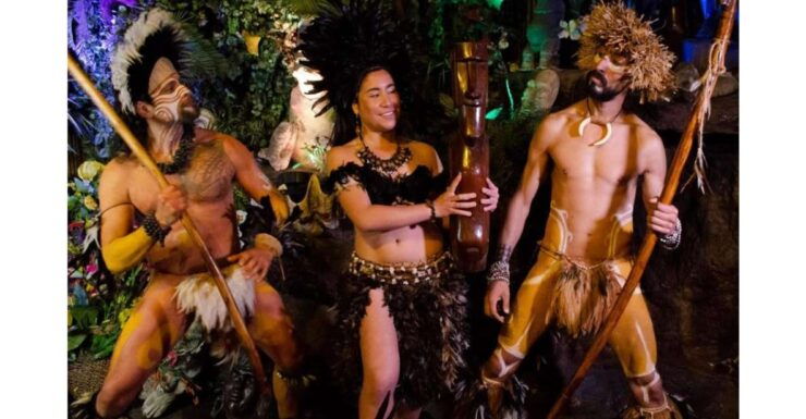 Santiago: Private Dinner and Show With Transfers - Experience Highlights
