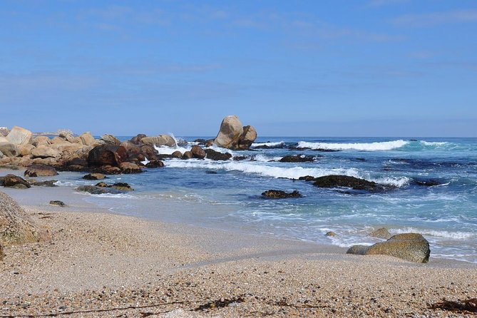 Santiago: Private Full Day Tour Pomaire & Isla Negra, Include Entrace - Tour Overview